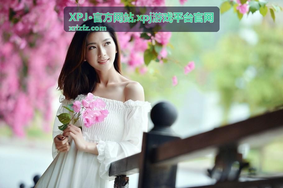XPJ官方网站游戏平台信息场景